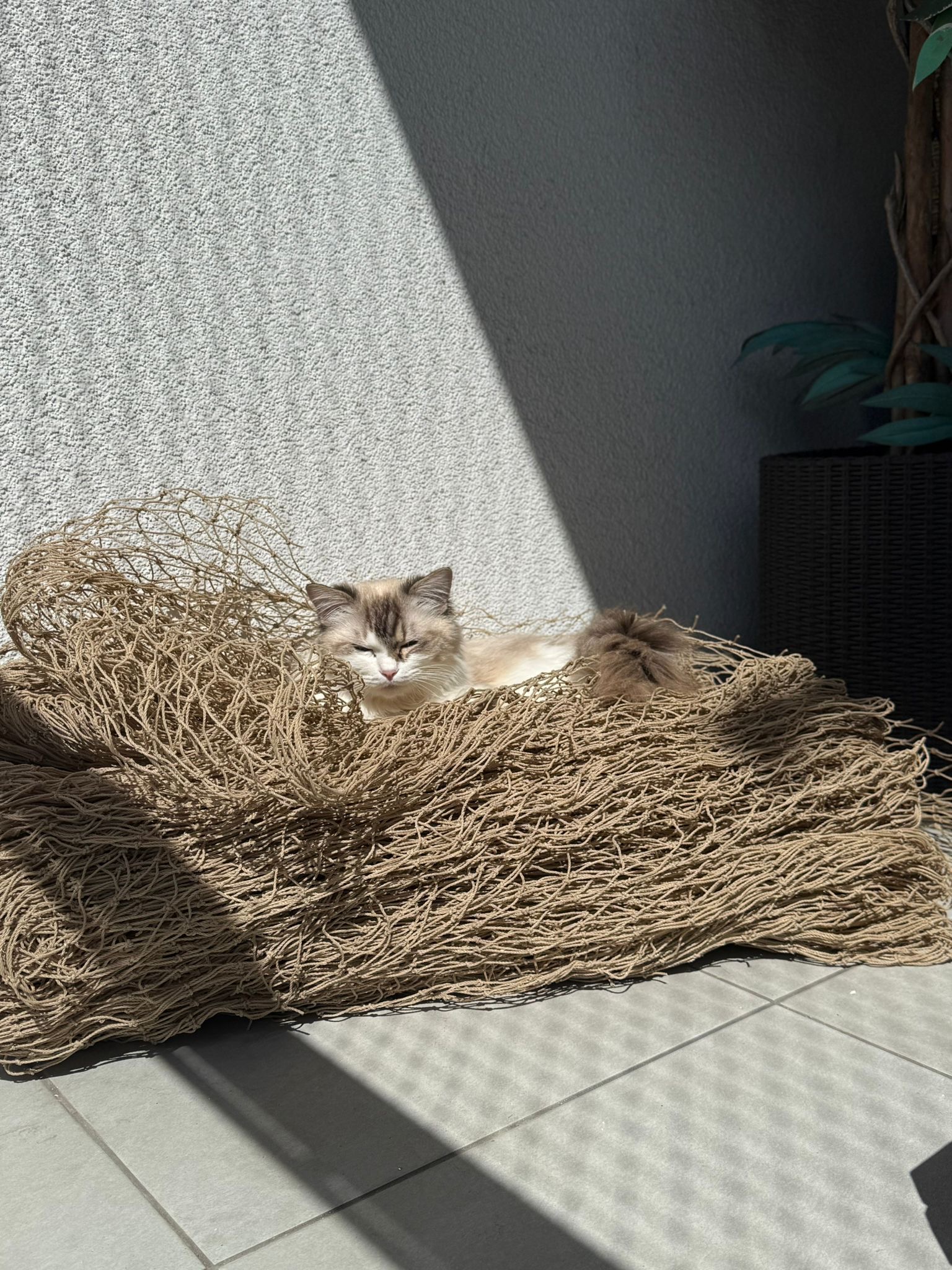 Siatka o oczkach 40x40mm 1m² – zdjęcie produktu