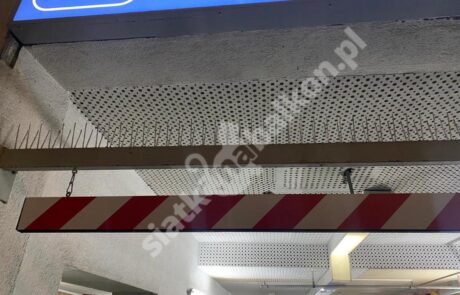 MONTAŻ KOLCÓW PRZECIW GOŁĘBIOM - WARSZAWA